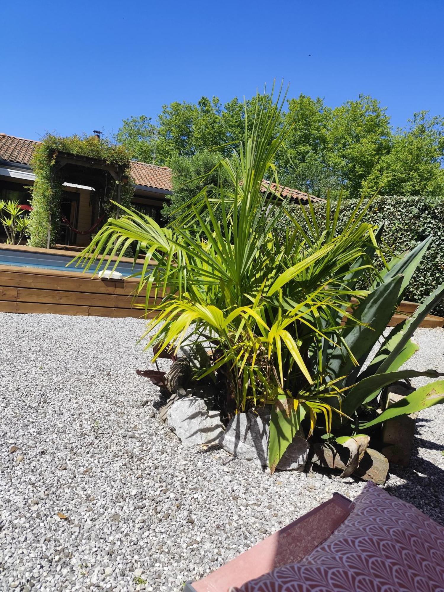 Maison Balaguera Saint-Jean-de-Marsacq Eksteriør bilde